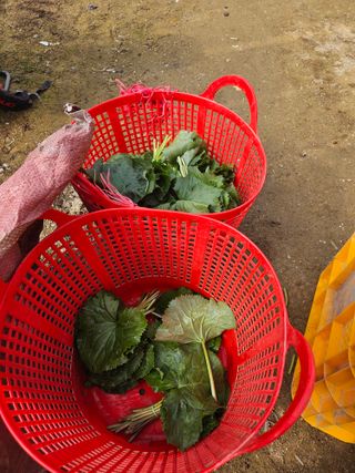 최종범님의 작성글 사진