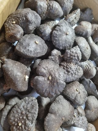 이송화님의 기타작물 · 자유게시판 작성글 사진