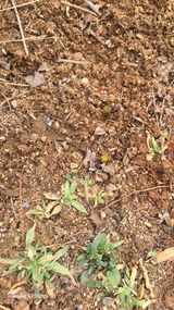 팜모닝 자유주제·자유게시판 게시글 이미지