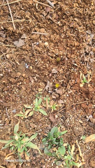 영월산지기148님의 자유주제 · 자유게시판 작성글 사진