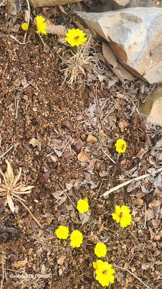 영월산지기148님의 자유주제 · 자유게시판 작성글 사진