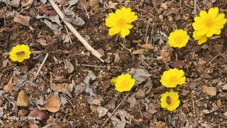 영월산지기148님의 자유주제 · 자유게시판 작성글 사진