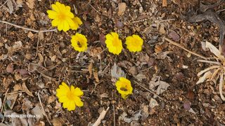 영월산지기148님의 자유주제 · 자유게시판 작성글 사진