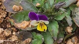 영월산지기148님의 자유주제 · 자유게시판 작성글 사진