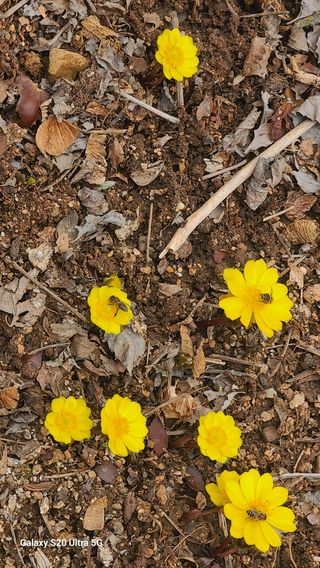 영월산지기148님의 자유주제 · 자유게시판 작성글 사진