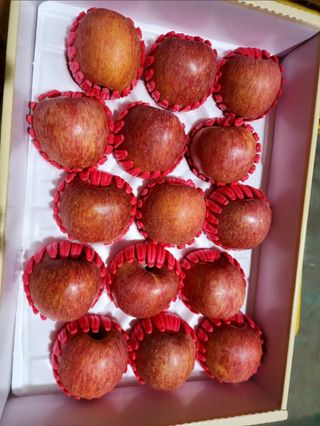 최영희님의 우리지역 대표작물 자랑하기 · 참여글 작성글 사진