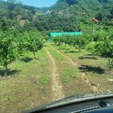 팜모닝 우리지역 대표작물 자랑하기·참여글 게시글 이미지