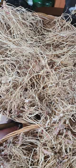 이미경님의 자유주제 · 자유게시판 작성글 사진