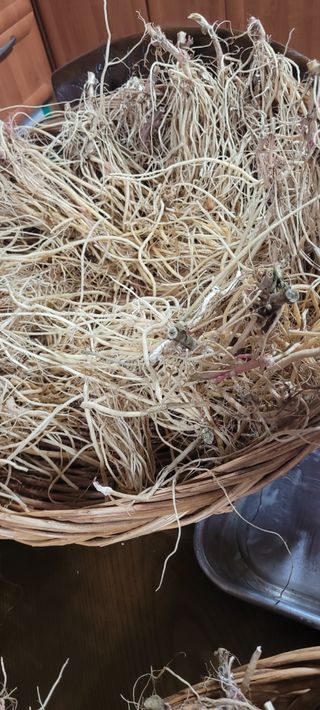 이미경님의 자유주제 · 자유게시판 작성글 사진