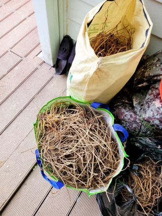 이미경님의 자유주제 · 자유게시판 작성글 사진