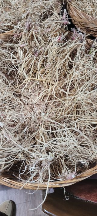 이미경님의 자유주제 · 자유게시판 작성글 사진