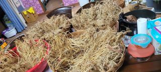 이미경님의 자유주제 · 자유게시판 작성글 사진