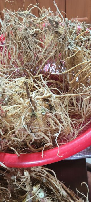 이미경님의 자유주제 · 자유게시판 작성글 사진