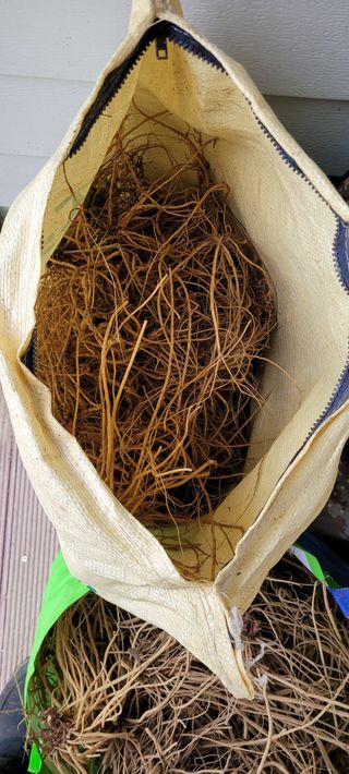 이미경님의 자유주제 · 자유게시판 작성글 사진