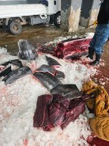 팜모닝 자유주제·사진전 게시글 이미지