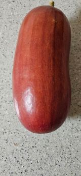 팜모닝 자유주제·자유게시판 게시글 이미지