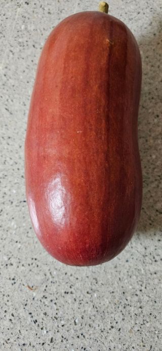 김둘점님의 자유주제 · 자유게시판 작성글 사진