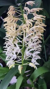 팜모닝 자유주제·자유게시판 게시글 이미지