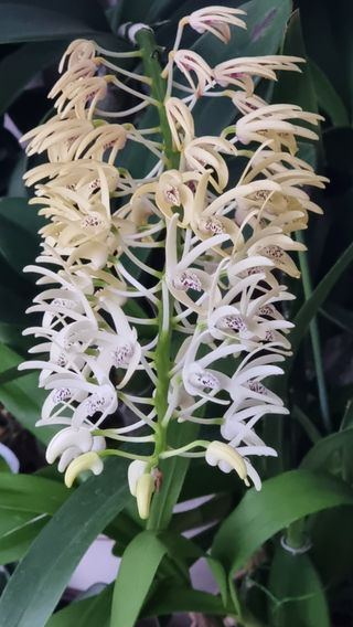 푸른꿈님의 자유주제 · 자유게시판 작성글 사진