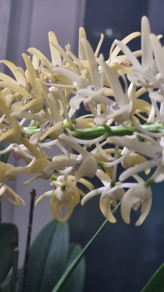 푸른꿈님의 자유주제 · 자유게시판 작성글 사진