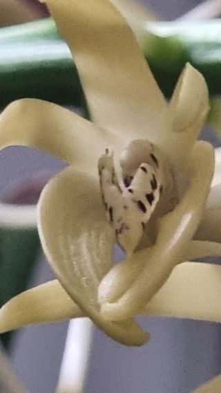 푸른꿈님의 자유주제 · 자유게시판 작성글 사진