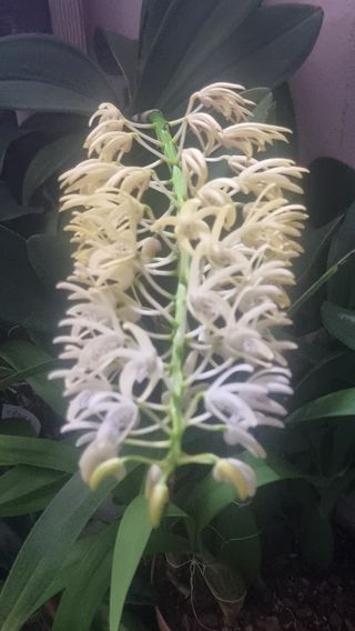 푸른꿈님의 자유주제 · 자유게시판 작성글 사진