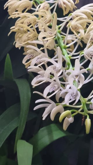 푸른꿈님의 자유주제 · 자유게시판 작성글 사진