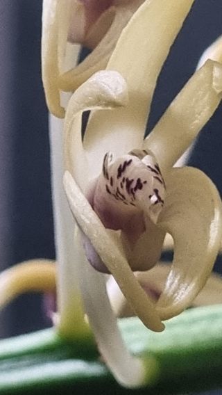 푸른꿈님의 자유주제 · 자유게시판 작성글 사진