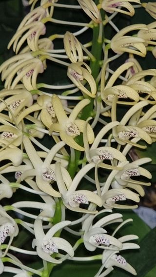 푸른꿈님의 자유주제 · 자유게시판 작성글 사진