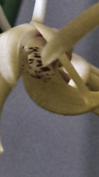 푸른꿈님의 자유주제 · 자유게시판 작성글 사진