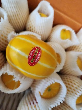 선진참외팜님의 우리지역 대표작물 자랑하기 · 참여글 작성글 사진