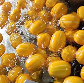 선진참외팜님의 우리지역 대표작물 자랑하기 · 참여글 작성글 사진