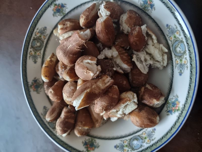 김석중님의 장터 판매 상품 [인디언감자(아피오스)1키로] 첨부 사진