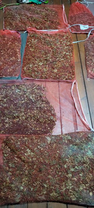 이의도님의 우리지역 대표작물 자랑하기 · 참여글 작성글 사진