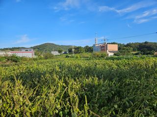 김태영님의 우리지역 대표작물 자랑하기 · 참여글 작성글 사진