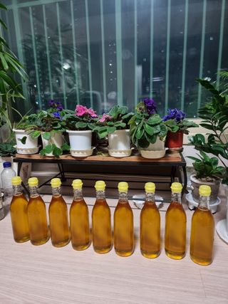 김태영님의 우리지역 대표작물 자랑하기 · 참여글 작성글 사진