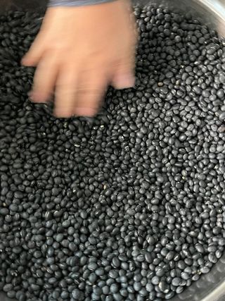 이일섭님의 우리지역 대표작물 자랑하기 · 참여글 작성글 사진