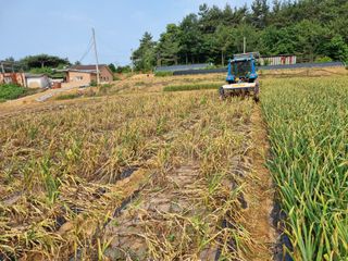 안동환님의 우리지역 대표작물 자랑하기 · 참여글 작성글 사진