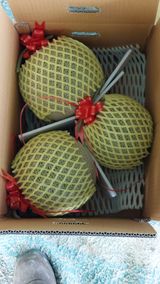 팜모닝 우리지역 대표작물 자랑하기·참여글 게시글 이미지