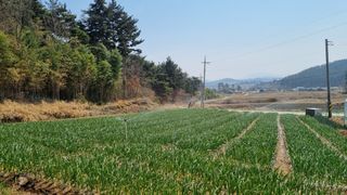 함영규님의 우리지역 대표작물 자랑하기 · 참여글 작성글 사진