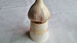 함영규님의 우리지역 대표작물 자랑하기 · 참여글 작성글 사진