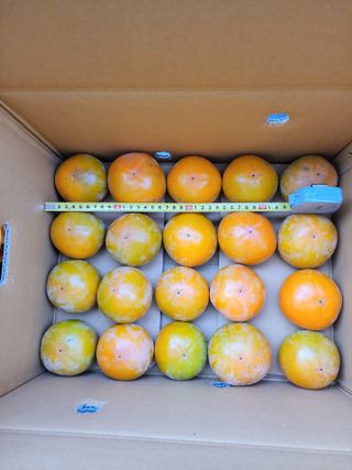 이일수님의 우리지역 대표작물 자랑하기 · 참여글 작성글 사진