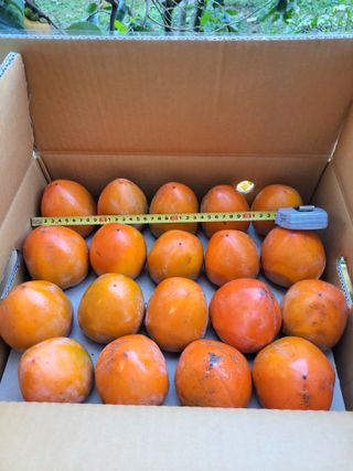 이일수님의 우리지역 대표작물 자랑하기 · 참여글 작성글 사진