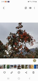 팜모닝 우리지역 대표작물 자랑하기·참여글 게시글 이미지