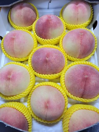 혜수기님의 우리지역 대표작물 자랑하기 · 참여글 작성글 사진