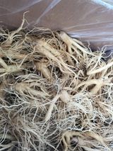 팜모닝 우리지역 대표작물 자랑하기·참여글 게시글 이미지