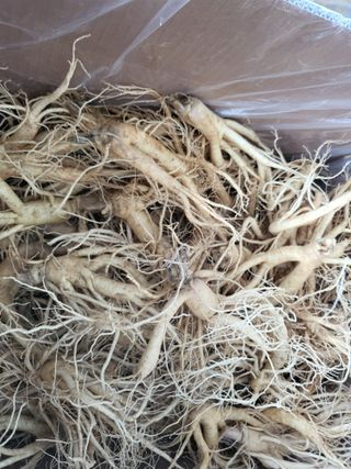 조호선님의 우리지역 대표작물 자랑하기 · 참여글 작성글 사진