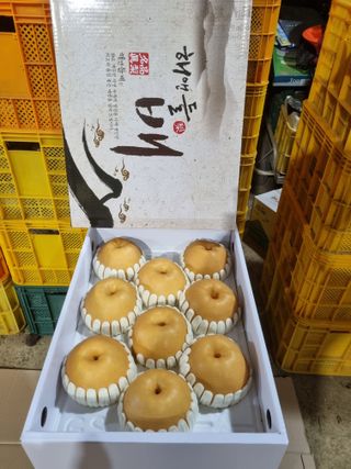 배농부(이레농원)님의 우리지역 대표작물 자랑하기 · 참여글 작성글 사진