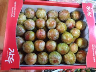 자두향기(박갑준)님의 우리지역 대표작물 자랑하기 · 참여글 작성글 사진