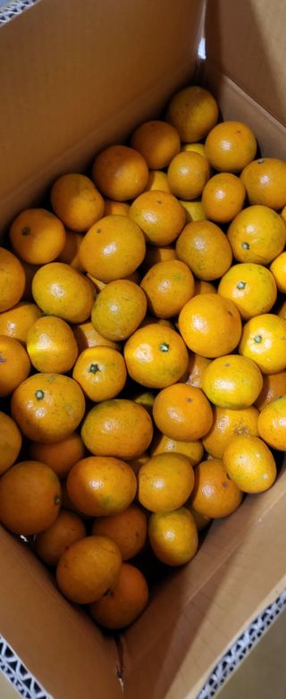 문도연님의 우리지역 대표작물 자랑하기 · 참여글 작성글 사진